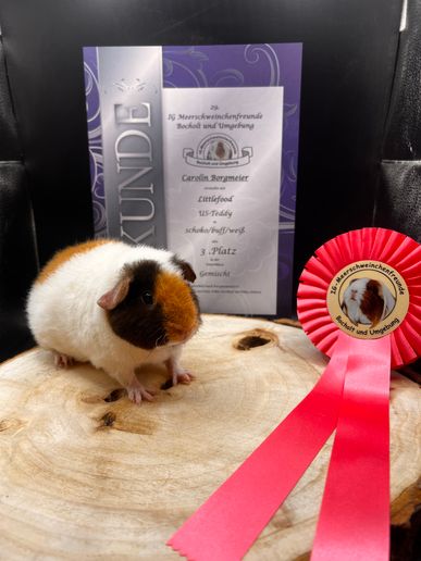 Littlefoot 3. Platz Unterklasse Gemischt